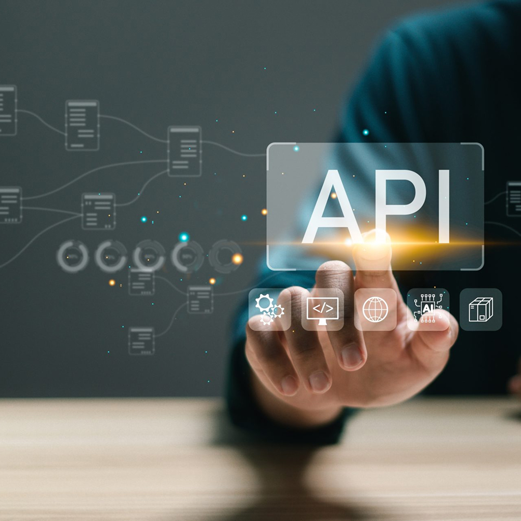System & API Integration